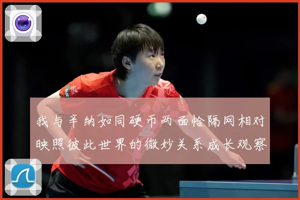 我与辛纳如同硬币两面恰隔网相对映照彼此世界的微妙关系成长观察