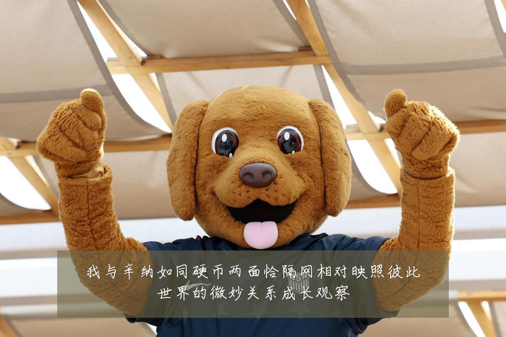 我与辛纳如同硬币两面恰隔网相对映照彼此世界的微妙关系成长观察