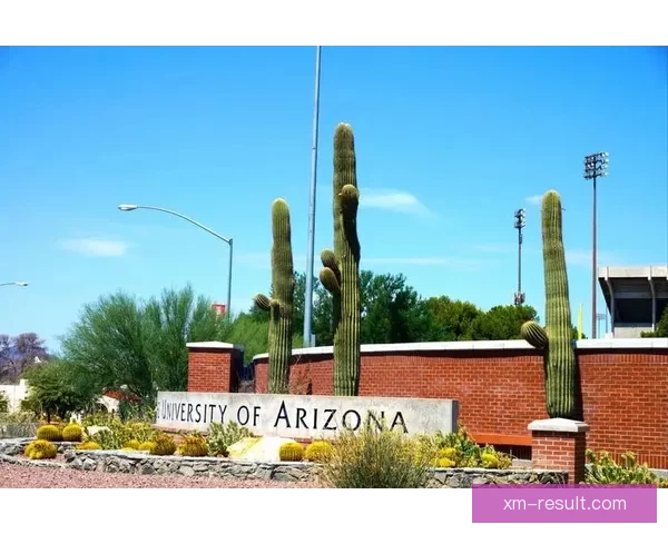 阿代-玛拉大爆发助密歇根大学大胜亚利桑那大学