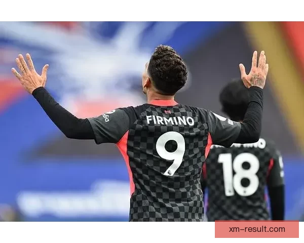 小武什自信宣布下赛季加盟热刺梦想与哥哥共赴汉堡并肩作战成真路